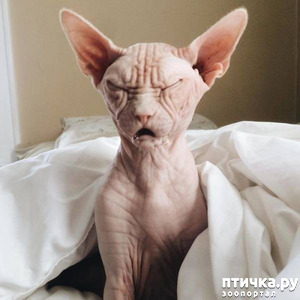 ����: ������ ����!!! (�����- ����)