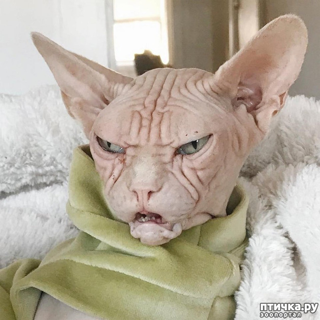 ���� 3: ������ ����!!! (�����- ����)