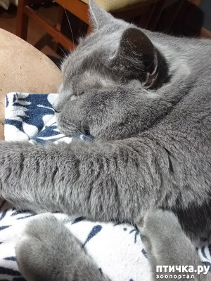 ����: �� ���� �������� ��� ��������...