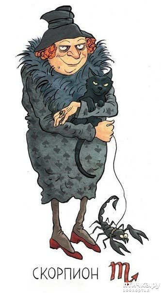 ���� 8: ����� �������