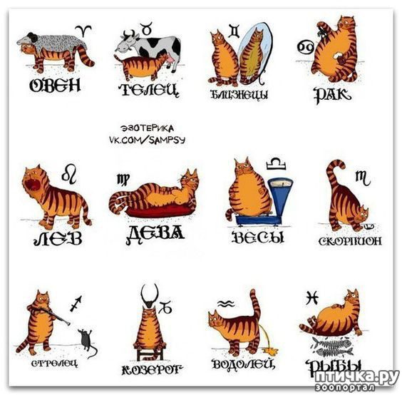 ���� 13: ����� �������