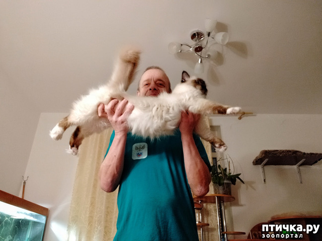 ���� 2: ���� � ����� 