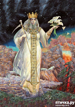 ����: ������ ��� ����, ��� ������...