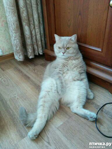 ���� 1: ����! ���� ��������� �� �����! � �������� �����������-���� � ����!