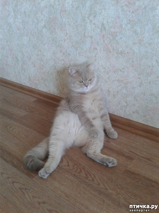 ���� 2: ����! ���� ��������� �� �����! � �������� �����������-���� � ����!