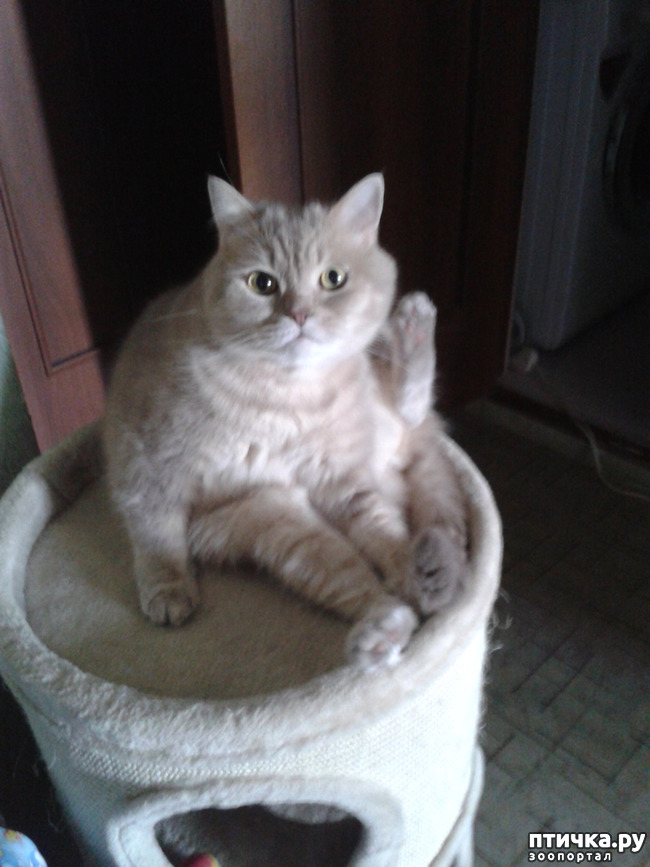 ���� 3: ����! ���� ��������� �� �����! � �������� �����������-���� � ����!