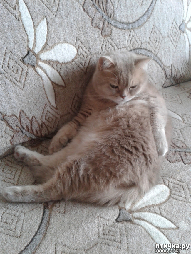 ���� 4: ����! ���� ��������� �� �����! � �������� �����������-���� � ����!