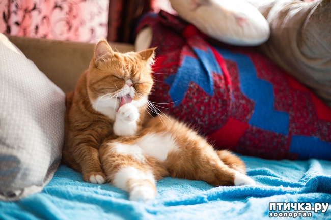 ���� 5: ����! ���� ��������� �� �����! � �������� �����������-���� � ����!