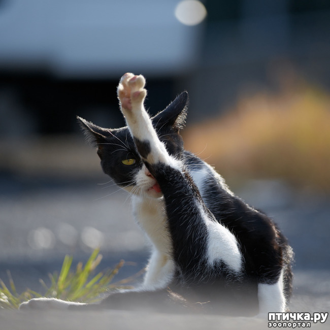 ���� 6: ����! ���� ��������� �� �����! � �������� �����������-���� � ����!