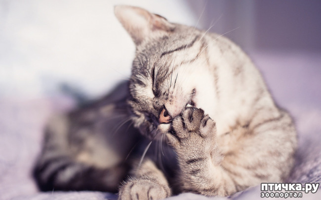 ���� 7: ����! ���� ��������� �� �����! � �������� �����������-���� � ����!