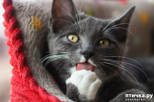 ���� 9: ����! ���� ��������� �� �����! � �������� �����������-���� � ����!