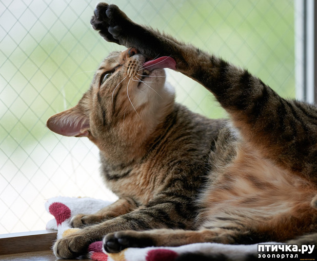 ���� 10: ����! ���� ��������� �� �����! � �������� �����������-���� � ����!