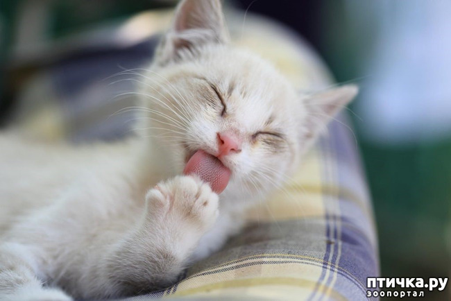 ���� 11: ����! ���� ��������� �� �����! � �������� �����������-���� � ����!