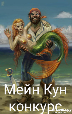 ����: ���� � ����� "���� ���"