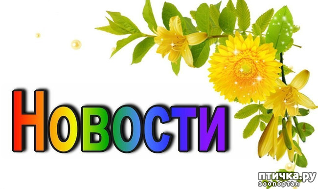 ���� 1: ������� �������