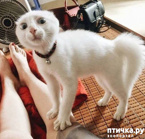 ����: ��������