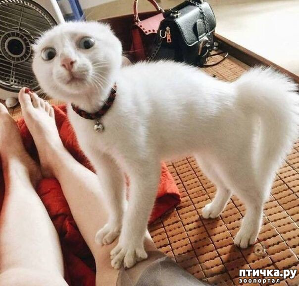 ���� 1: ��������