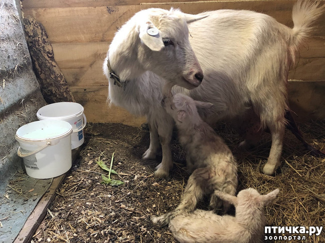 ���� 2: ������� �������