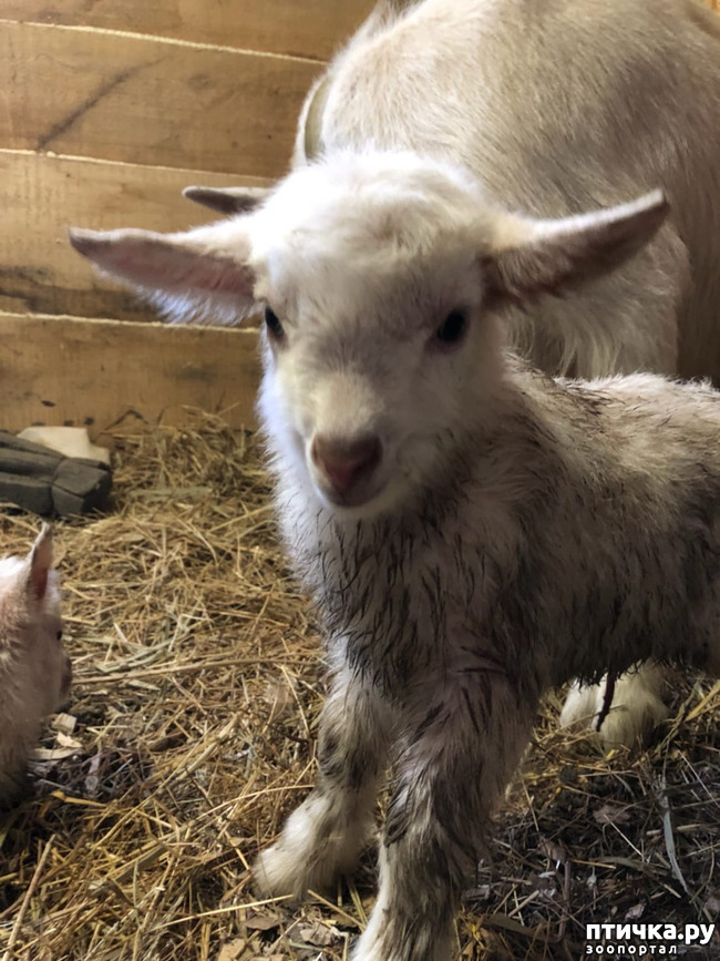 ���� 3: ������� �������