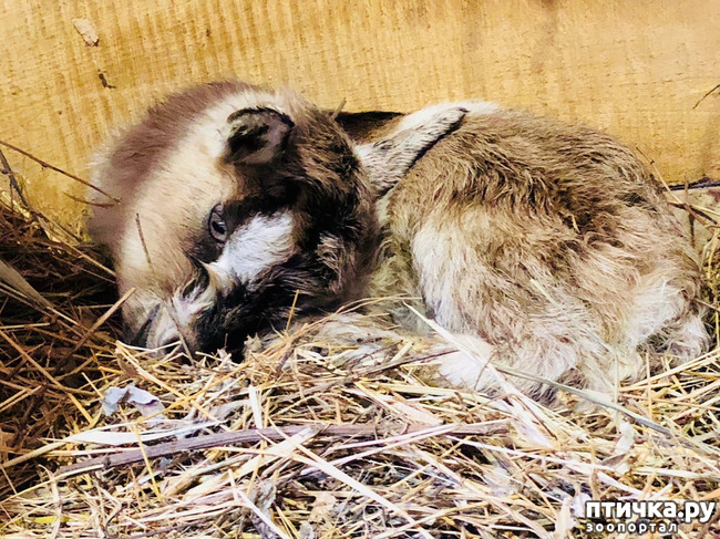 ���� 4: ������� �������