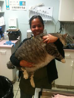 ���� 7: �����������