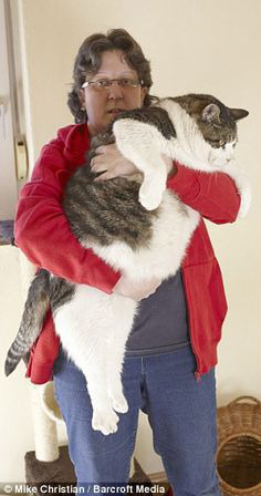 ���� 9: �����������