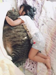 ���� 11: �����������