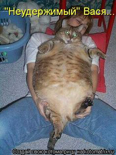 ���� 12: �����������