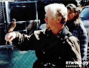 ����: ����� �����