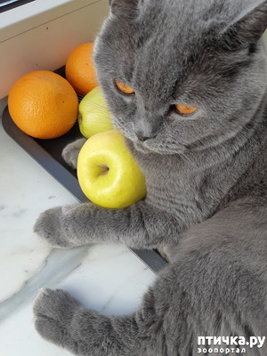 ����: ��� � �������