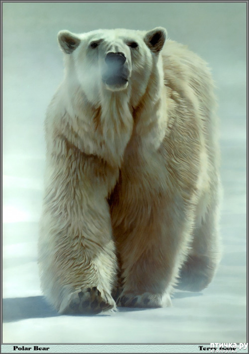 ���� 2: ����� �����