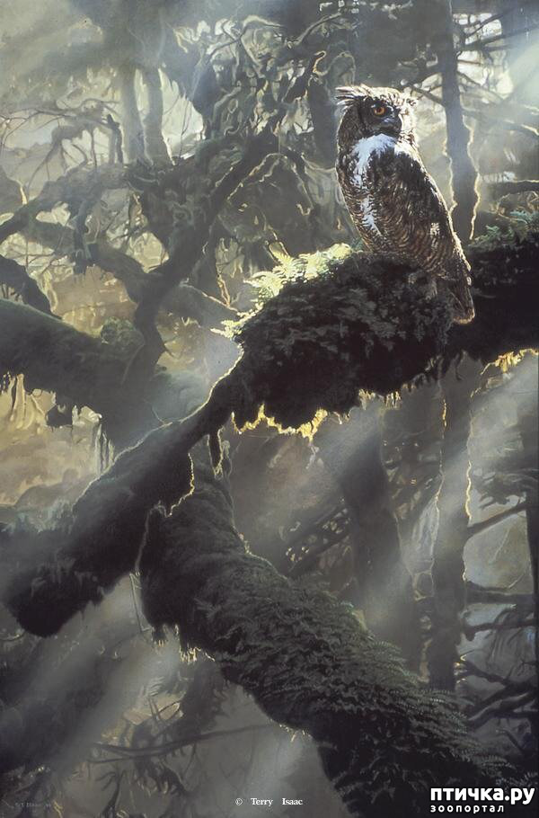 ���� 8: ����� �����