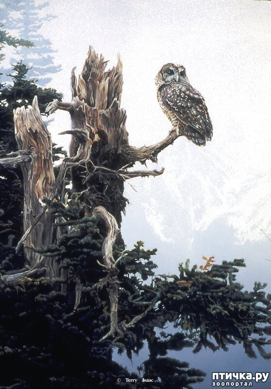 ���� 7: ����� �����