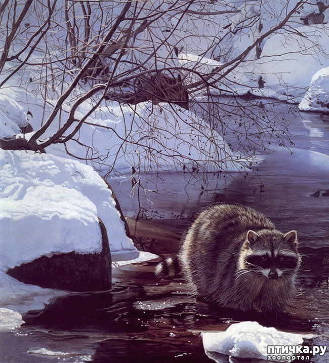 ���� 6: ����� �����