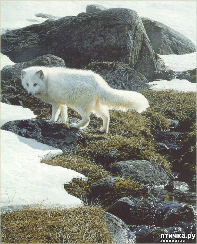 ���� 10: ����� �����