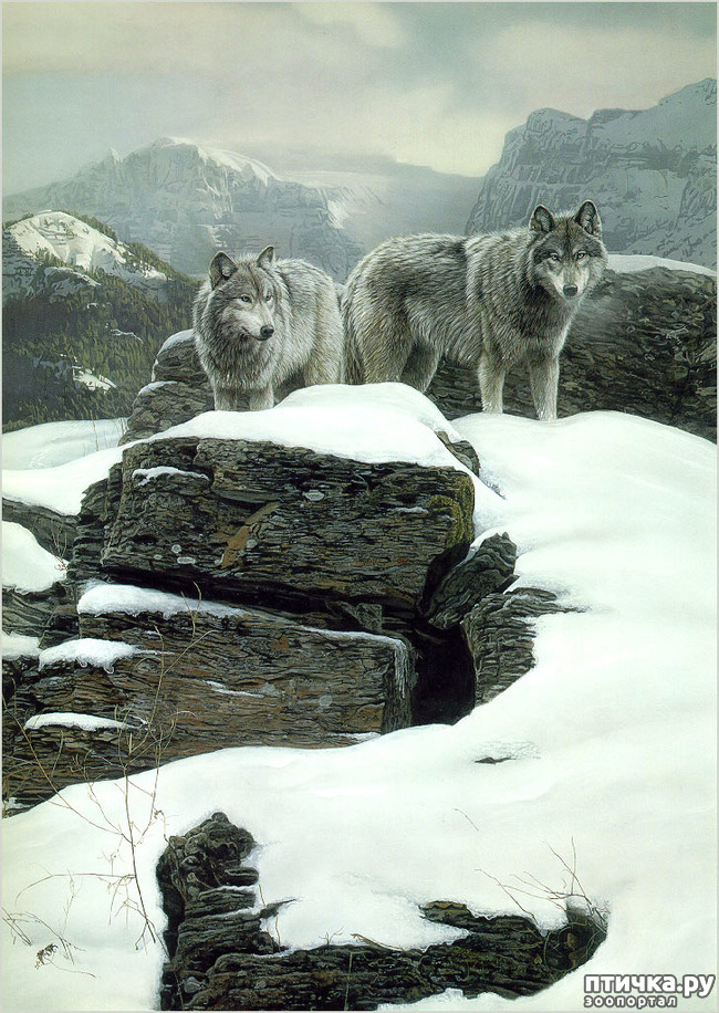 ���� 11: ����� �����