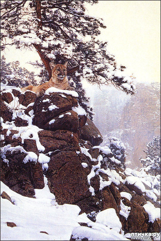 ���� 5: ����� �����