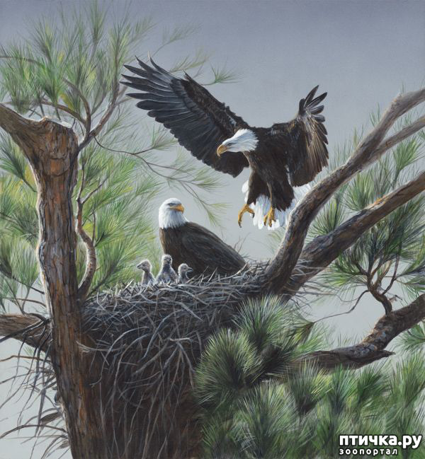 ���� 13: ����� �����