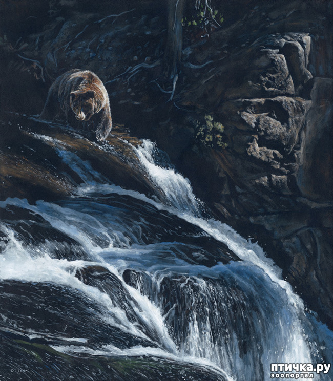 ���� 12: ����� �����