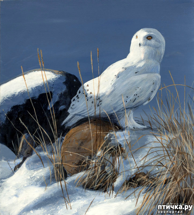 ���� 14: ����� �����