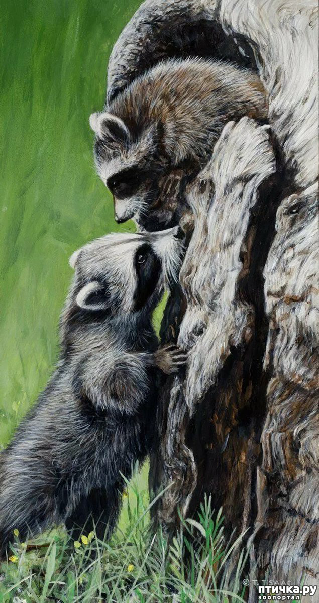 ���� 17: ����� �����