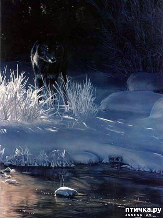 ���� 21: ����� �����