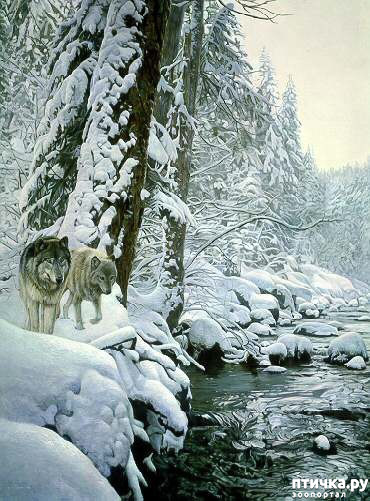 ���� 16: ����� �����