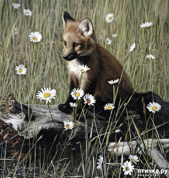 ���� 20: ����� �����