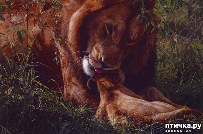 ���� 18: ����� �����