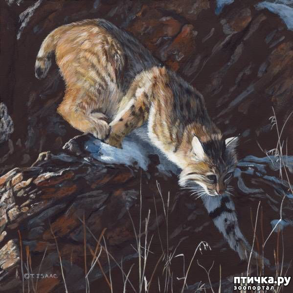 ���� 22: ����� �����