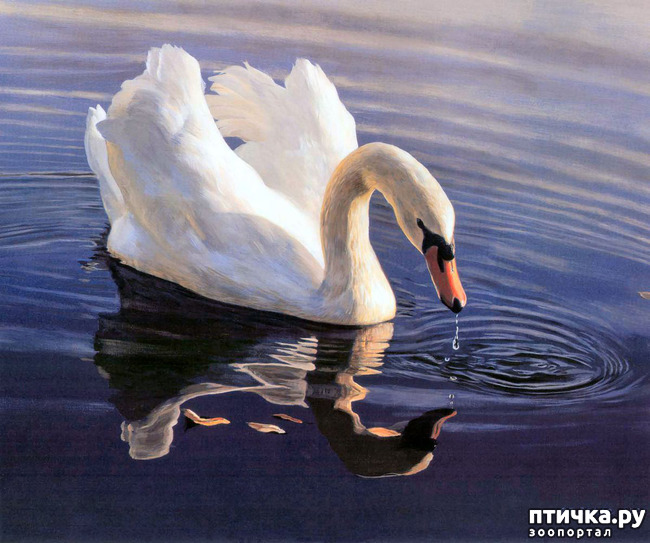 ���� 23: ����� �����