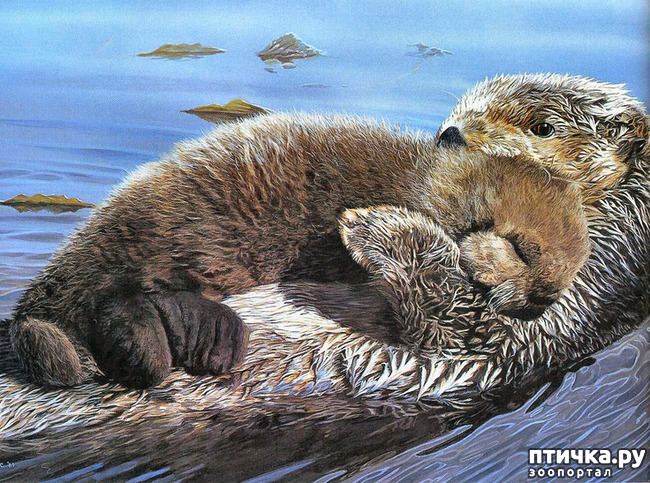 ���� 24: ����� �����