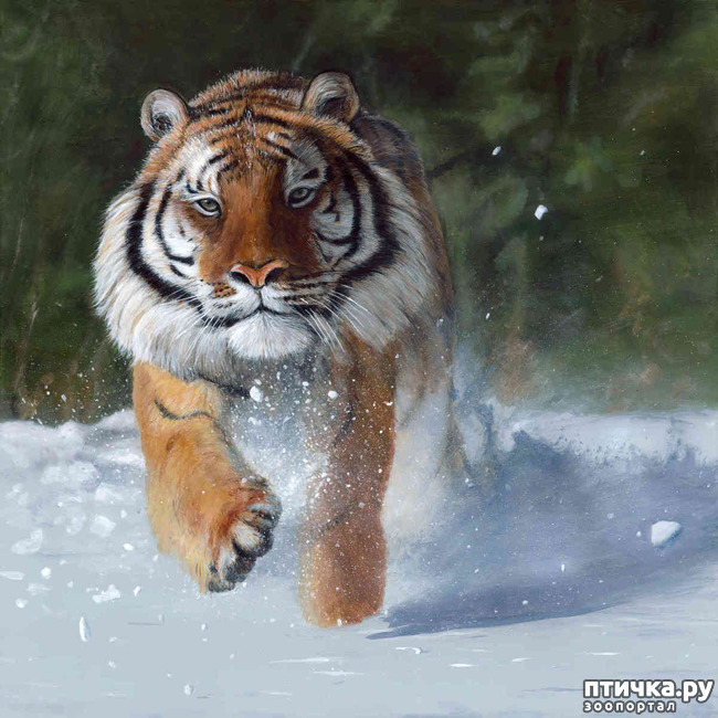 ���� 26: ����� �����