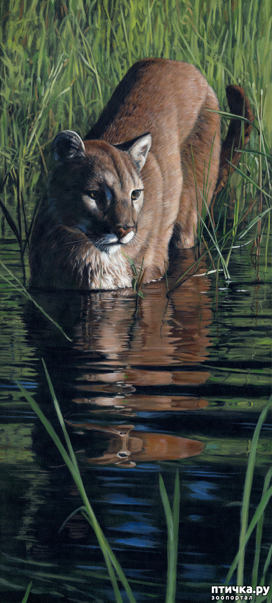 ���� 25: ����� �����